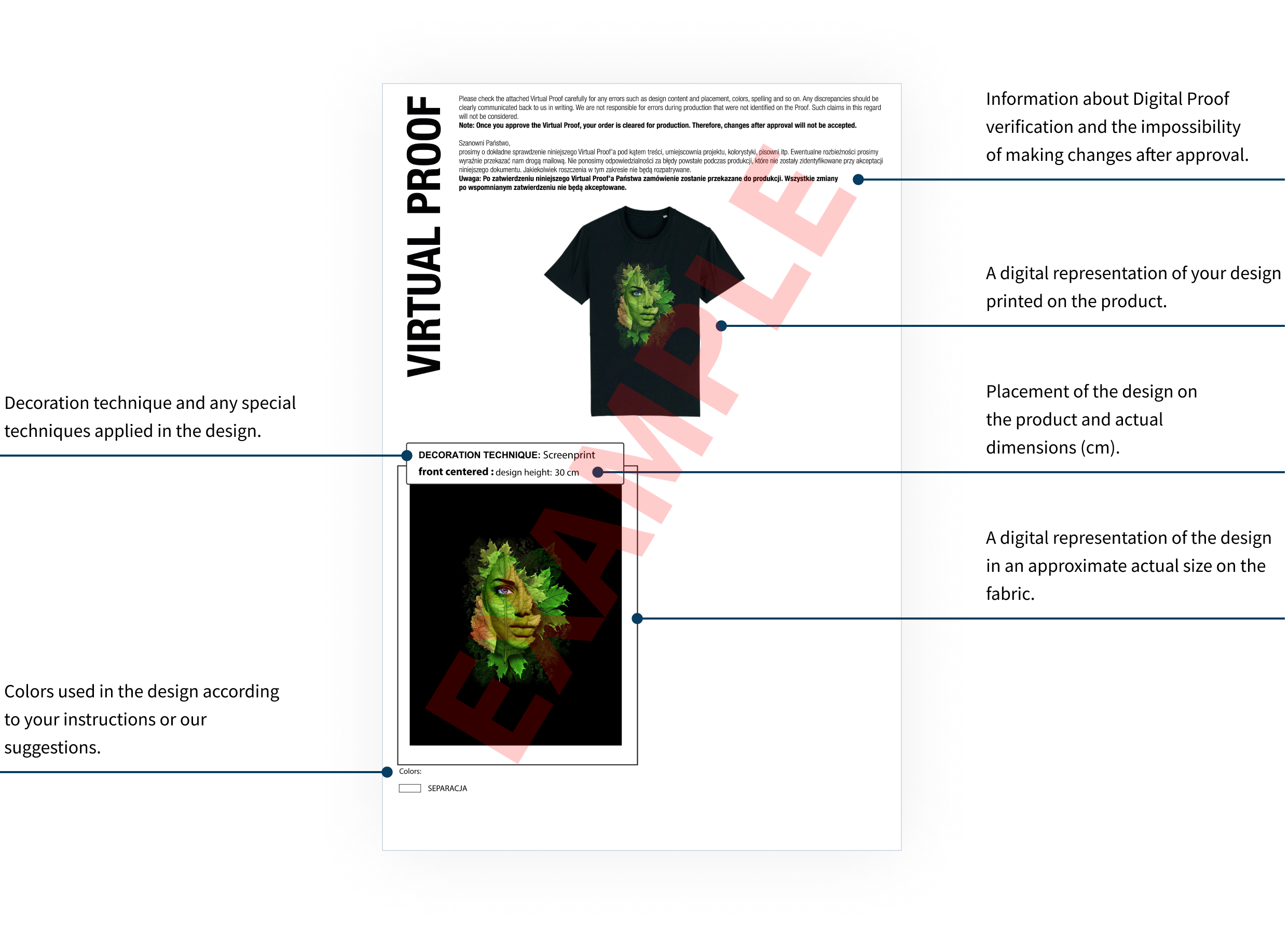 Explanation of key information found in a Digital Proof, including design placement, dimensions, and color accuracy.